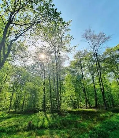 Сasa de vacaciones De La Verriere, 12 Personnes, 5 Portieux